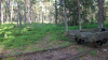 01 -- Böda