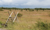 Öland 2012