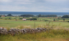 Öland 2012