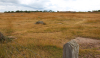 Öland 2012