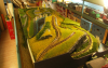 2003  -- feeder tracks
