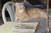 3001  -- track - tusse handles quality control
