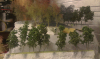 2803  -- notice the colour difference compared to far right trees