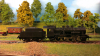 2829  -- a german loco which got the littera ´G´ when on swedish rails