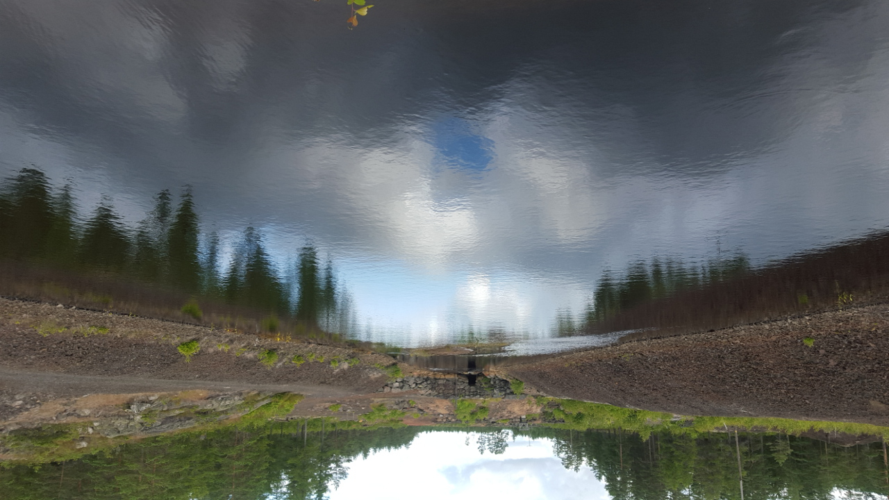 click for next picture