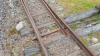 135003 