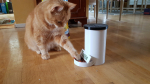 The Catomat was done printing yesterday. Here is some pics and a short vid showing the result. The bowl got to small, but that is what product development is all about ..  =) So now, diversion is over, back to the trains!