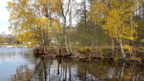 101300  -- autumn scenery