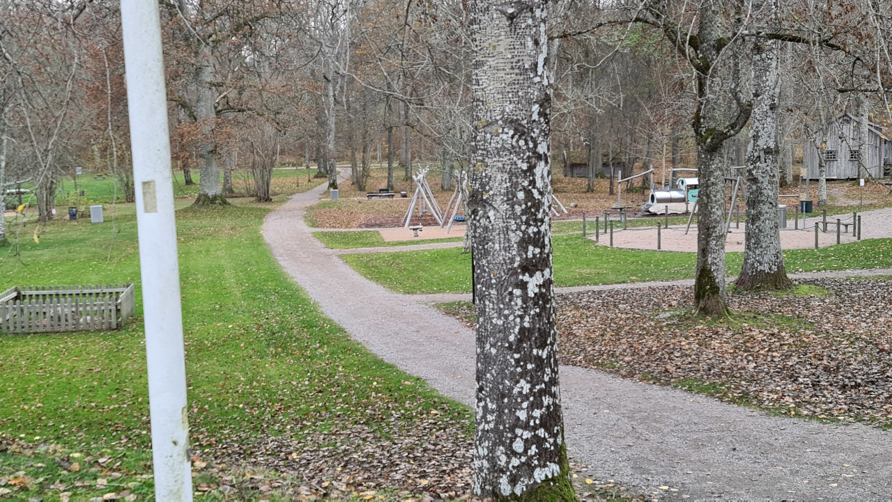 click for next picture