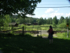 Pict2477
