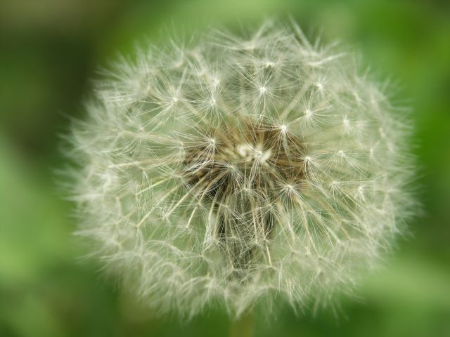 click for next picture