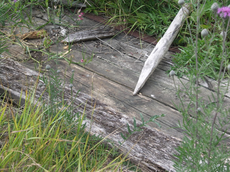 click for next picture