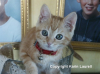 8575_31721