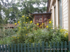 Pict0055