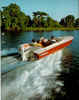 evin08 -- This comes from a Johnson leaflet, but it was really the boat which got my attention! Challenger still exist, but they do not make this kind of handicraft no more... sad, good looking!
