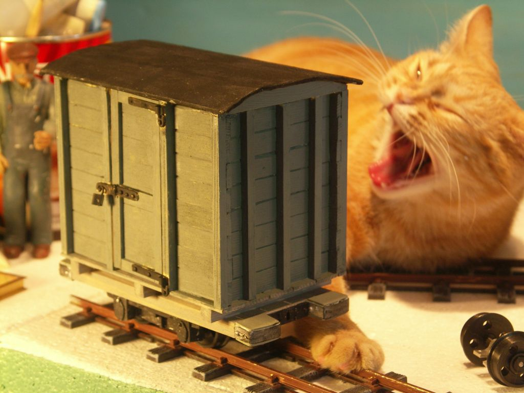 Pict2854 -- Cat abuse?  no just yawning..